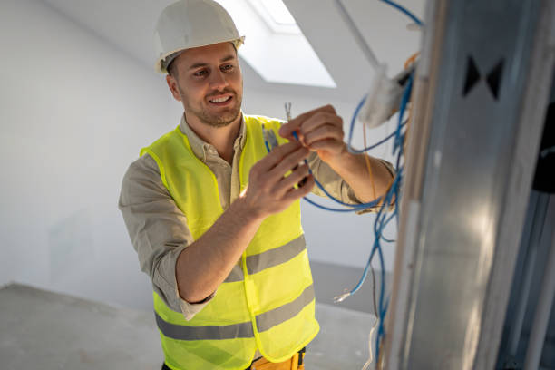 Best Electric Panel Repair  in La Nte, MO